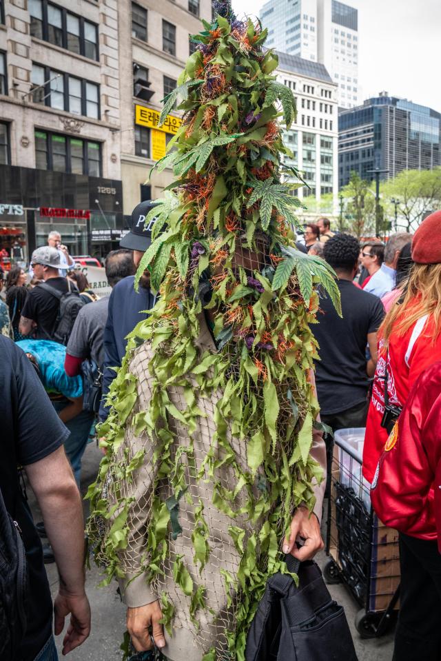  A man in New York was dressed head to toe in marijuana leaves