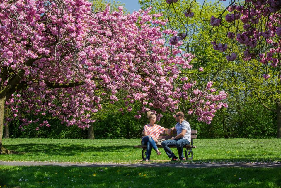 Brits could be hit with hayfever this weekend