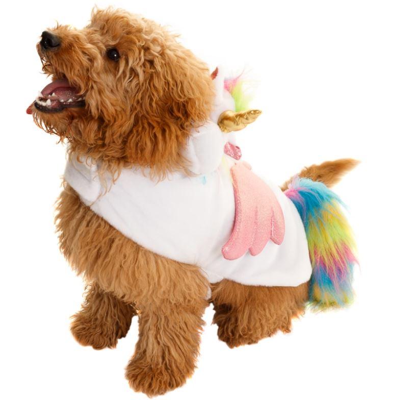  You can dress your dog like a unicorn