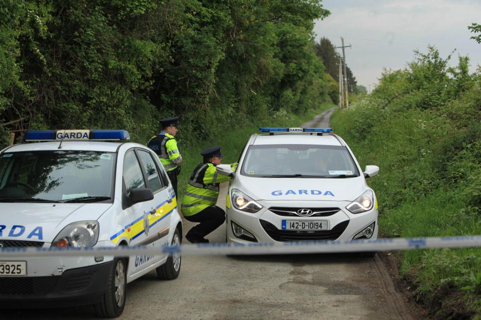 Gardai at Puck's Castle Lane where body of Jastine was found
