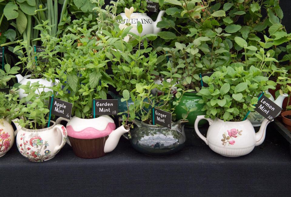 A close up of our stunning silver medal winning garden display