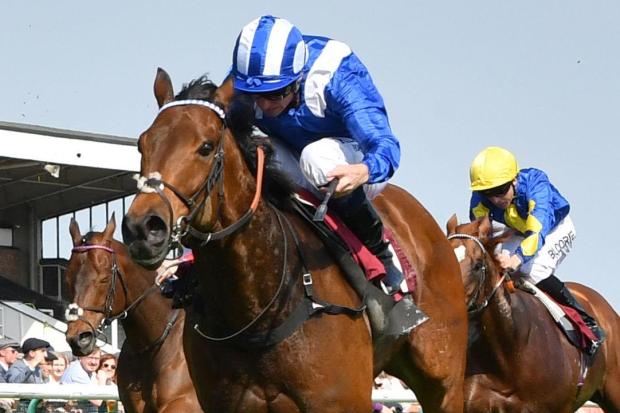 Battaash was a thrilling winner of the Temple Stakes at Haydock on Saturday