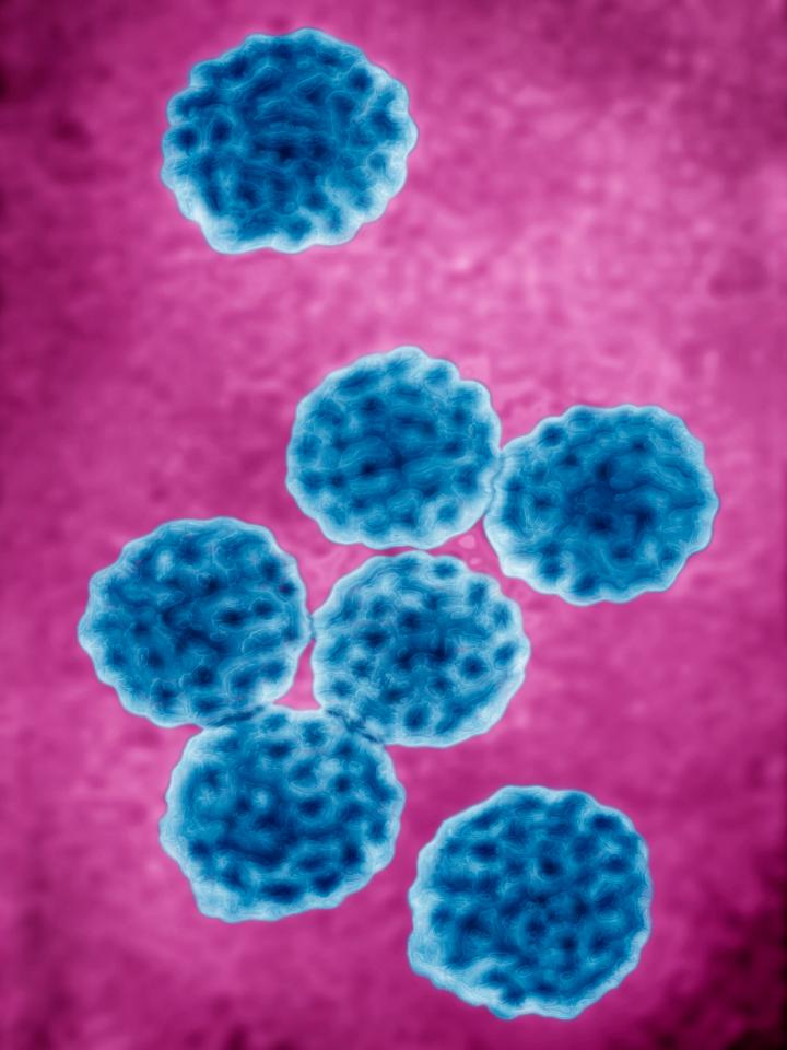 Girls and boys should have HPV jabs at 11 or younger, to help prevent cervical and oral cancer
