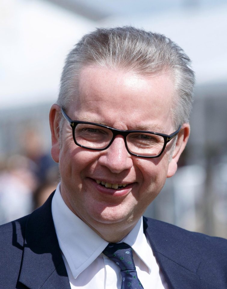  Downing Street would be making a very big mistake if it assumes Gove will accept – and sell to fellow Brexiteers – any deal with the EU, no matter how flawed
