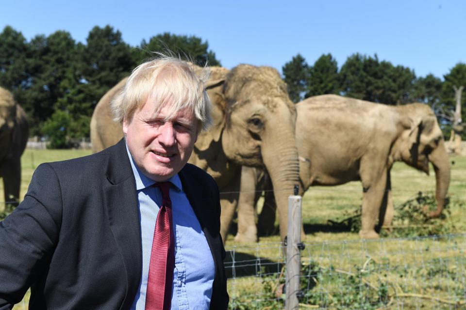 Boris Johnson, pictured at Whipsnade Zoo today, signalled support for Jacob Rees-Mogg