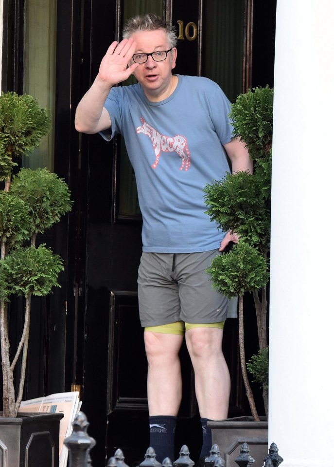 Michael Gove