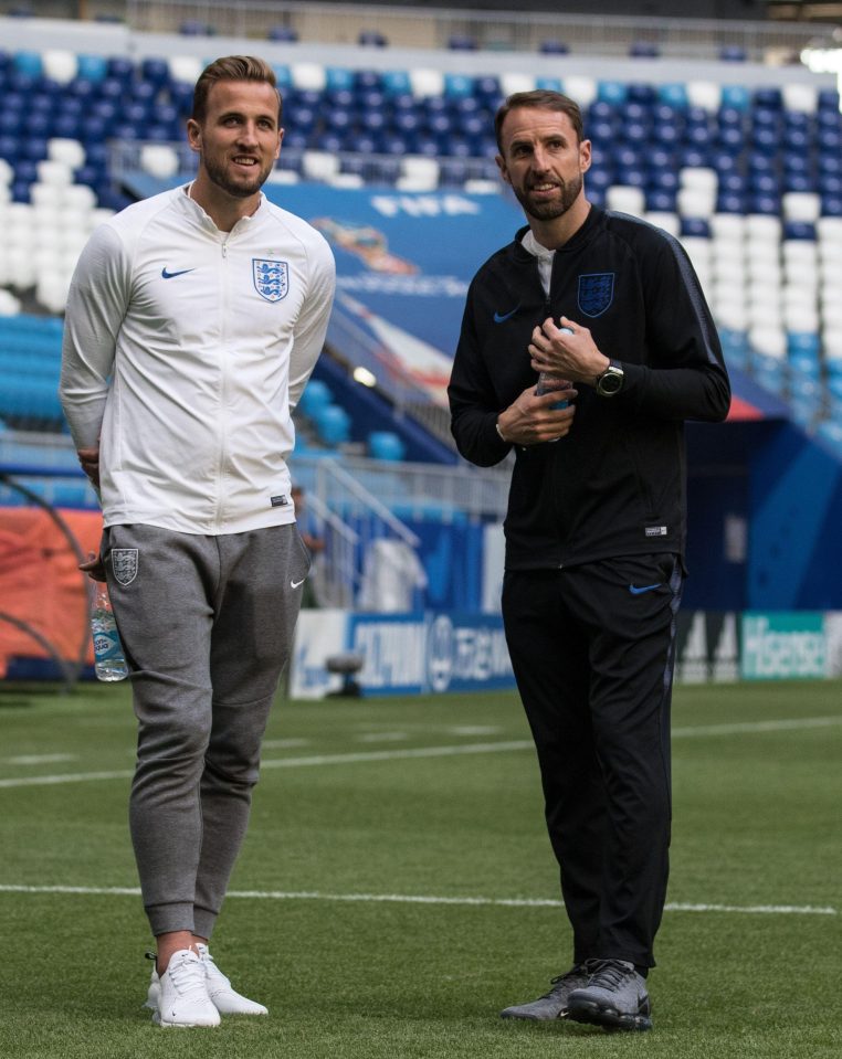 Harry Kane and Gareth Southgate are plotting the downfall of Sweden today