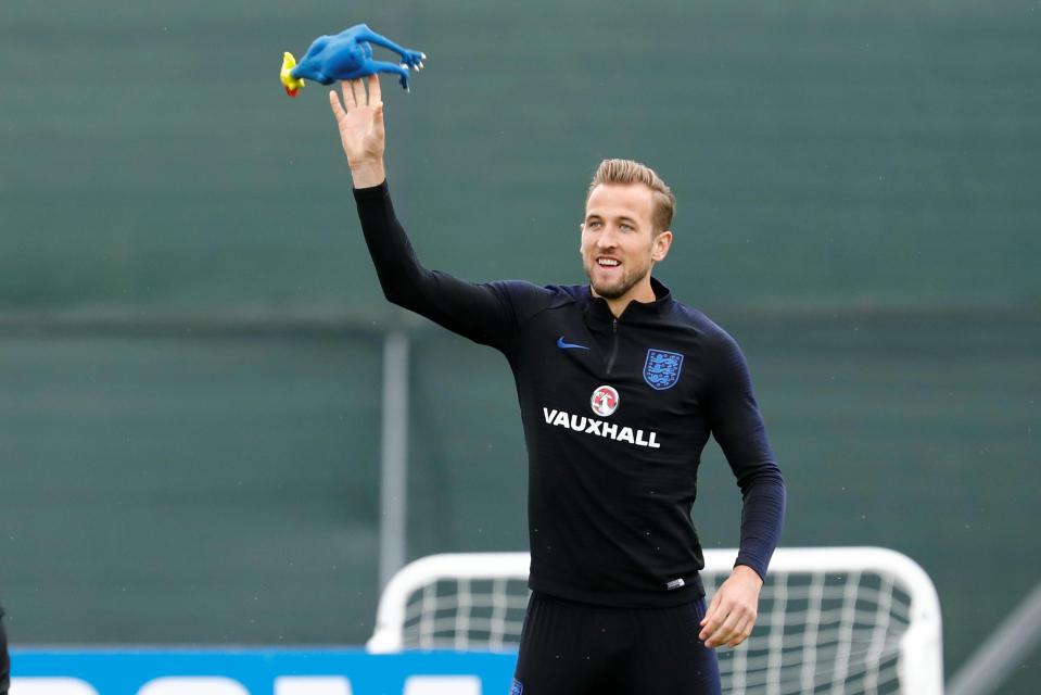  Harry Kane knows England can't count their chickens as they prepare to face Croatia