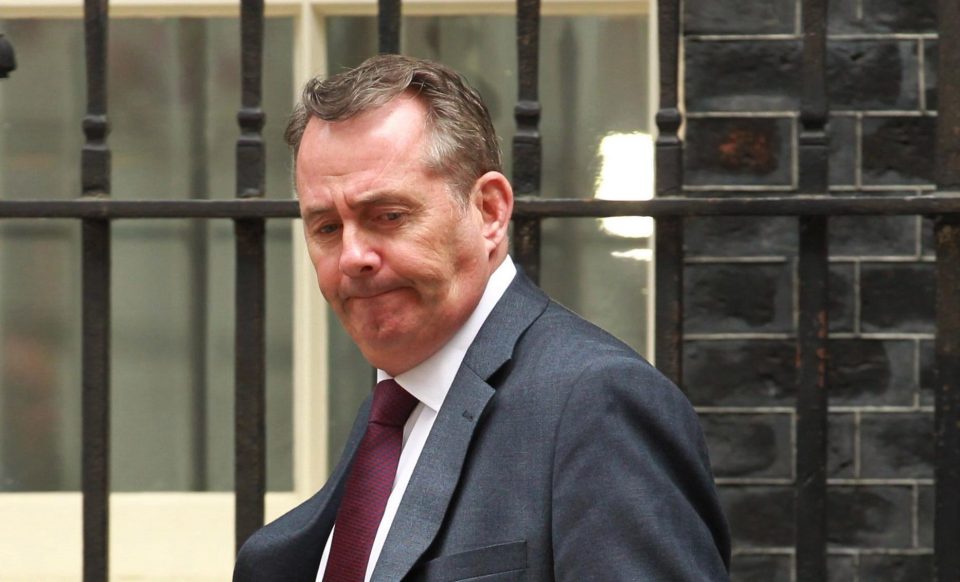  Among the Cabinet ministers marooned in the North East were Liam Fox, David Gauke, Liz Truss and Penny Mordaunt