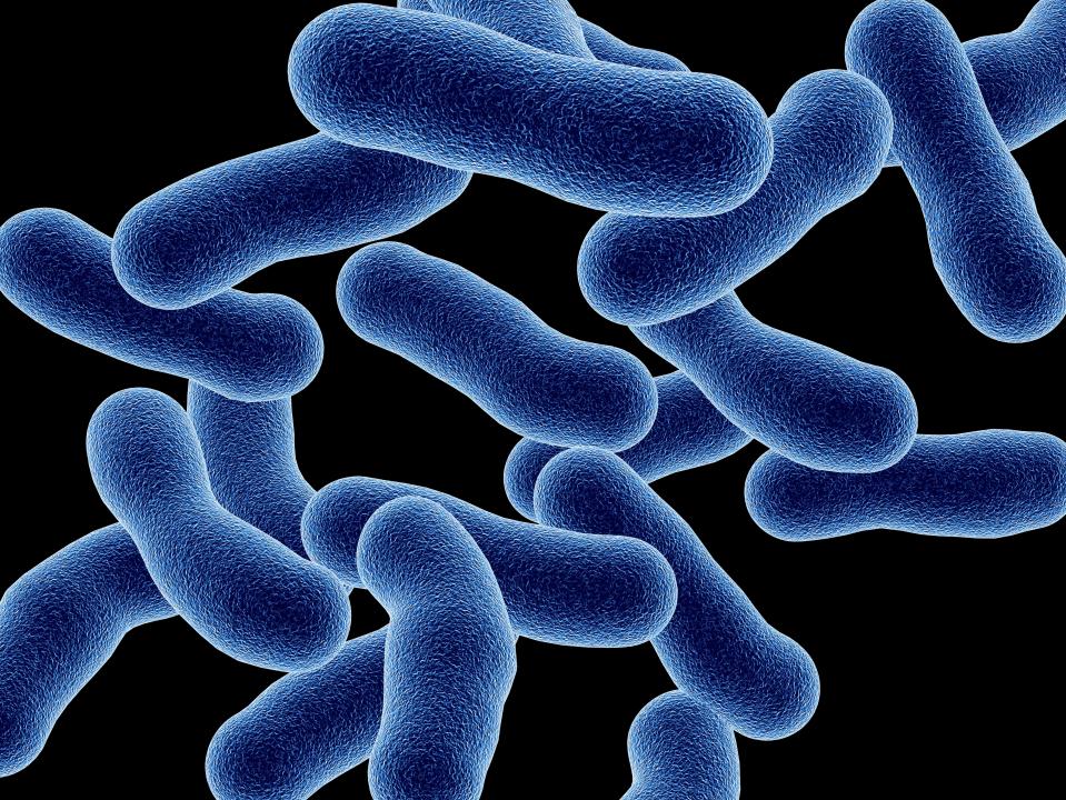  There has been an outbreak in New York