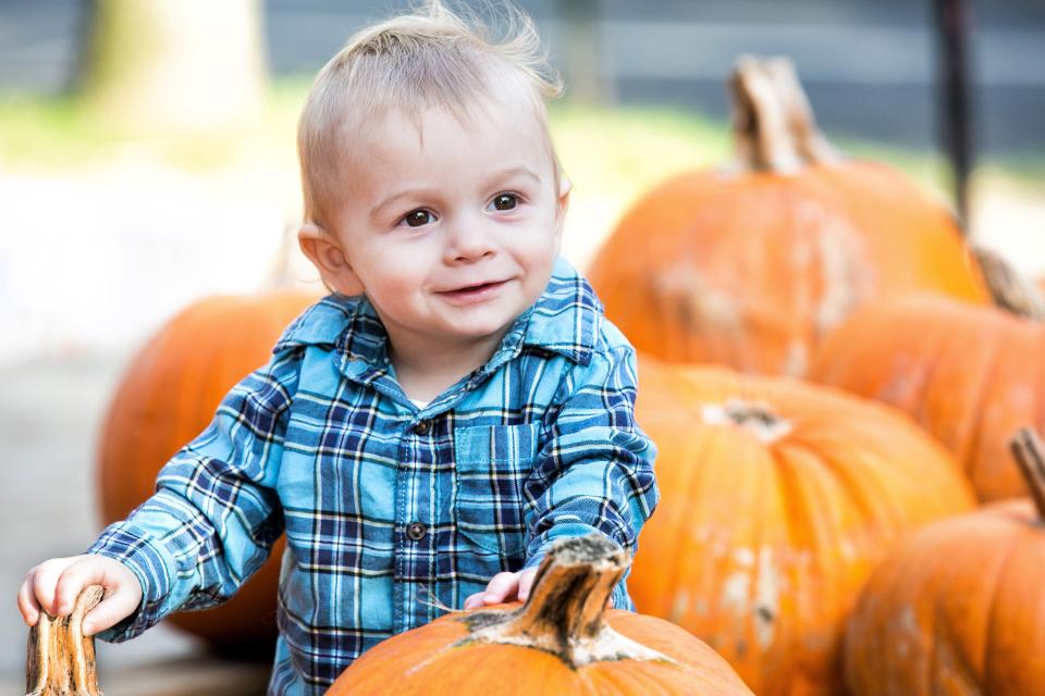  They adopted son, pictured having fun in a pumpkin patch