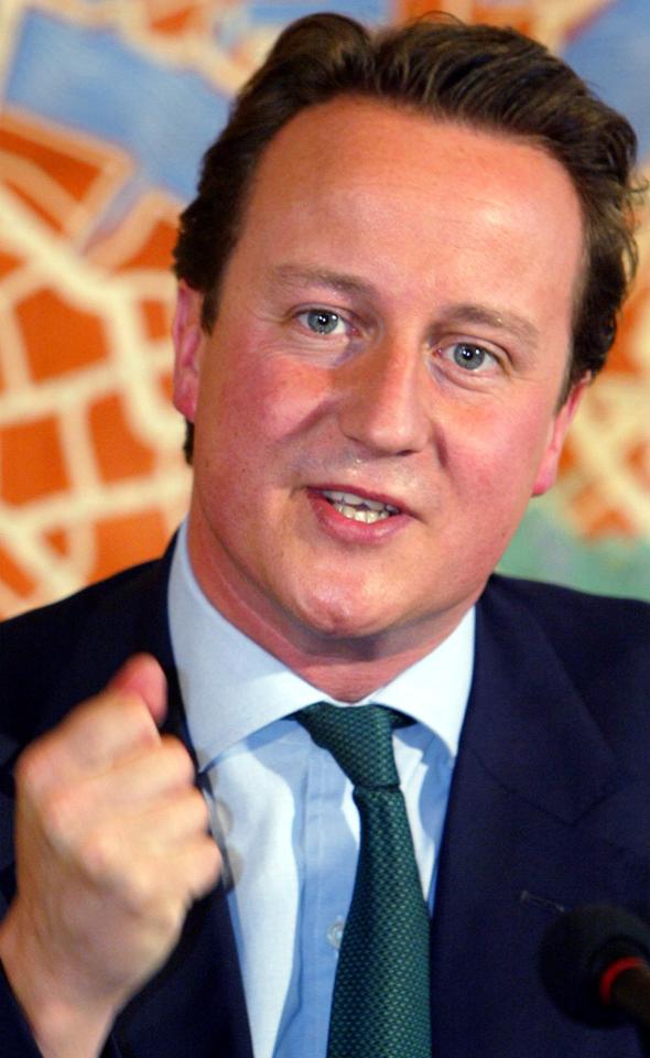 David Cameron