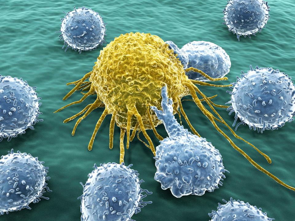 The drug destroys a protein used by cancer cells to 'cloak' themselves from the immune system, allowing our immune system to then attack cancer cell to kills them for good