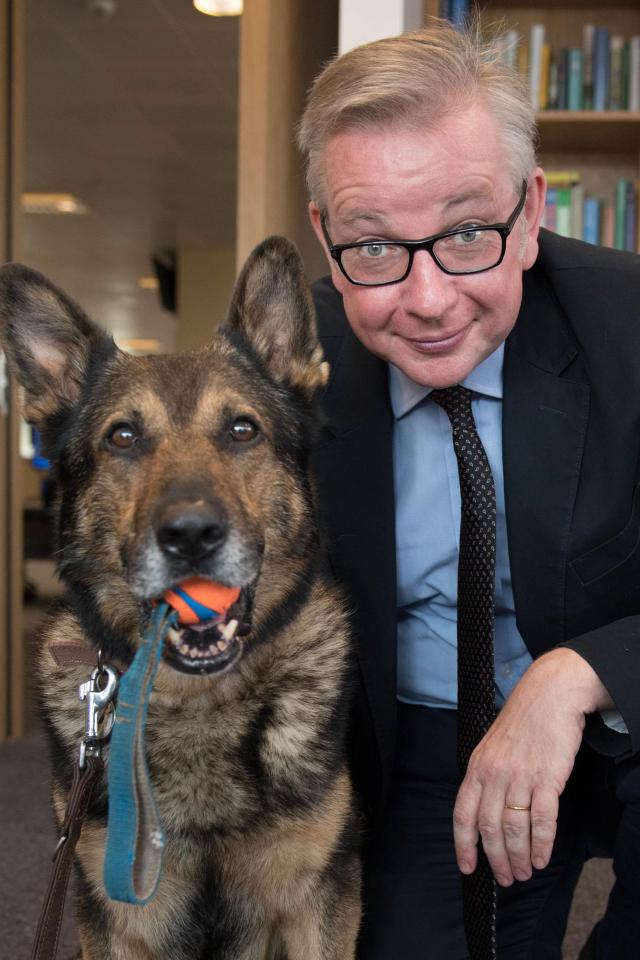 Environment Secretary Michael Gove paid tribute to the campaign which calls for an immediate halt to the sale of young pets by third-party commercial dealers