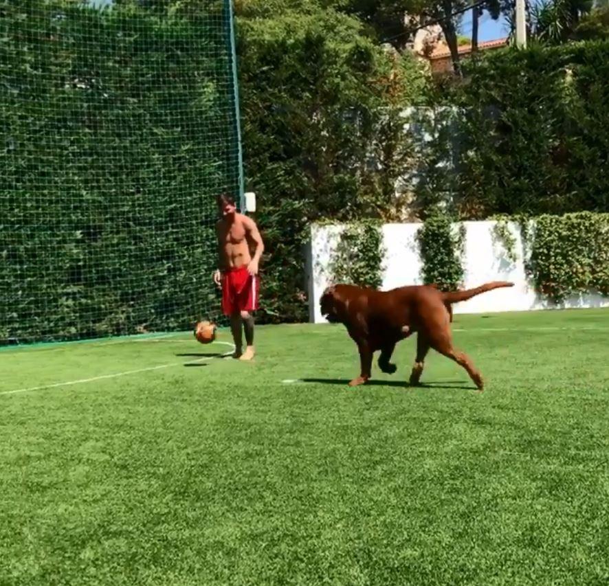  Messi's house contains its own small football pitch, where the Argentine star plays with his hulking dog