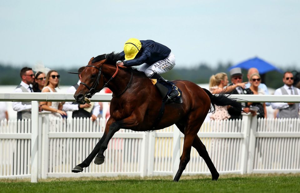  Hardwicke winner Crystal Ocean could take on Enable on Saturday