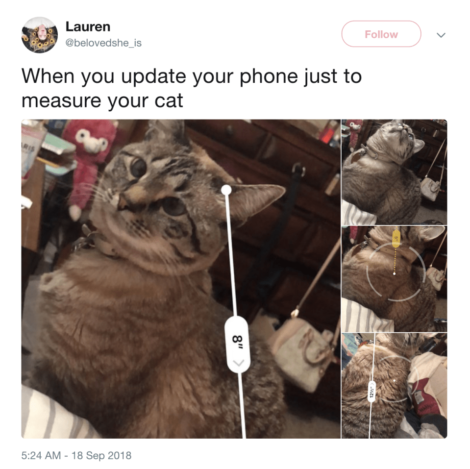  To use the Measure app, you'll need to make sure you're running the latest iPhone software version, iOS 12