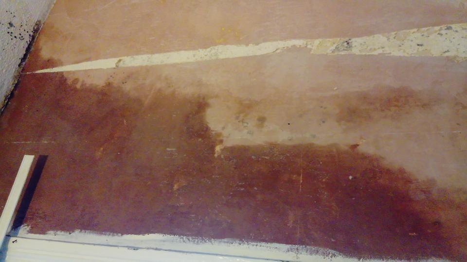  Vulnerable people are being "exploited" by landlords who leave homes in awful conditions, Advice4Renters says