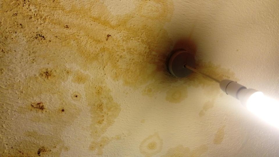  Renters dealing with rogue landlords have had to face mould, mess and leaks in their homes