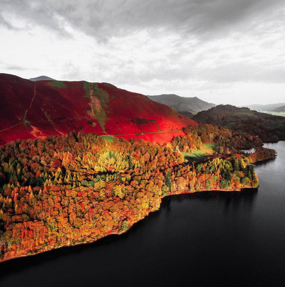 The dark sky and water create a dramatic backdrop for the bright autumnal colours