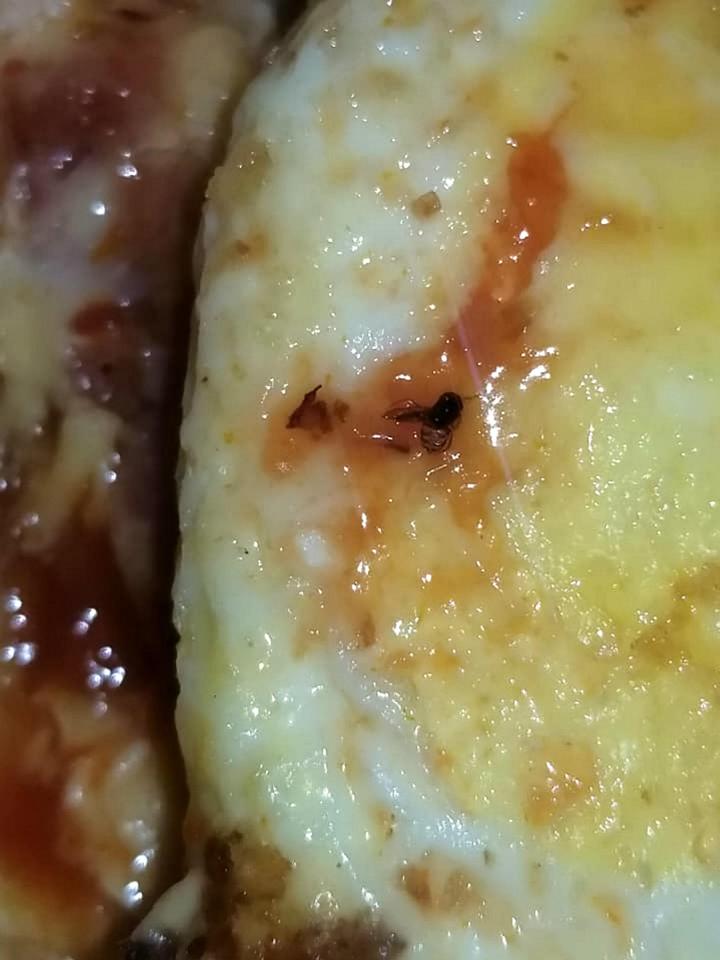 The mum claims she found, on closer inspection, a bacon, egg and cheese 'croissant' riddled with insects