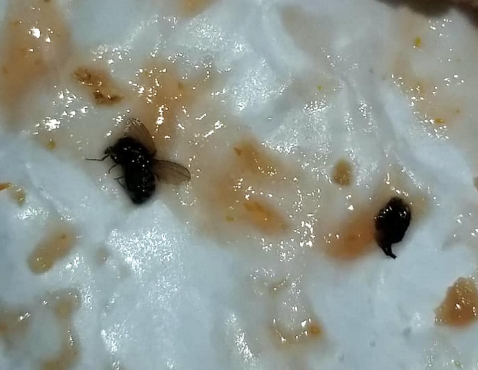  A mum claims she opened her sandwich from Dunkin' Donuts to find it crawling with worms and flies