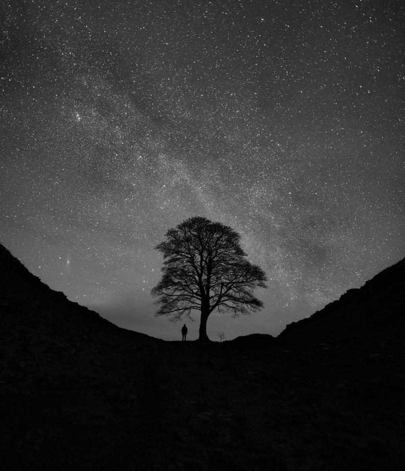  Mark McNeill's 'Me versus the Galaxy' was highly commended