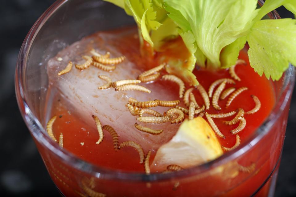  The buffalo worm Bloody Mary looks like a special effect from a 1970s horror film