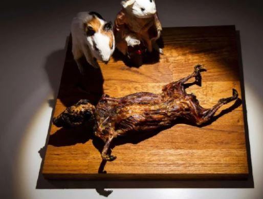 What about roasted guinea pig
