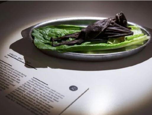 Fruit bat soup from Guam provides a nourishing meal