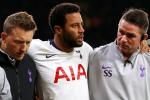 Mousa Dembele has been ruled out until 2019 with an ankle injury