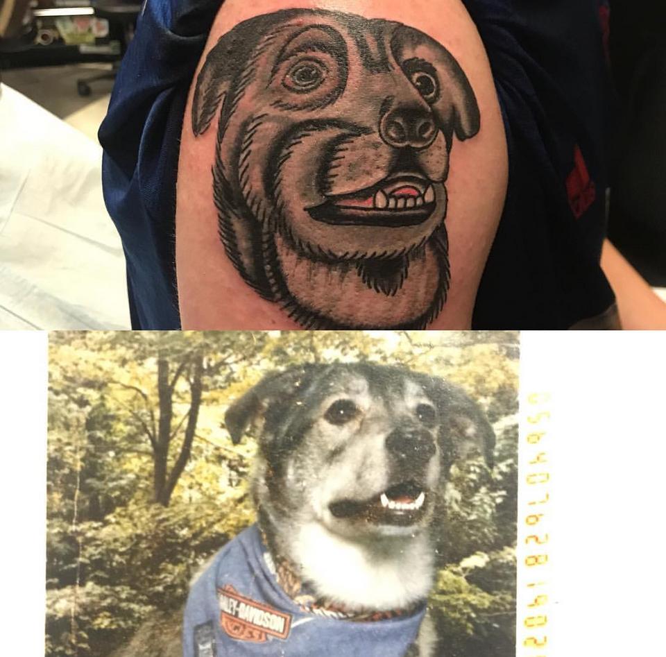  This dog will be remembered forever