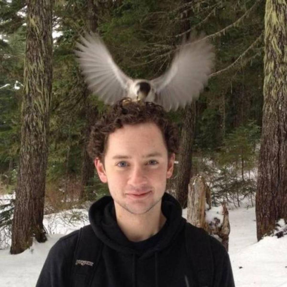  If this man's hair hadn't been so soft and habitable, perhaps he'd have avoided becoming avian real estate