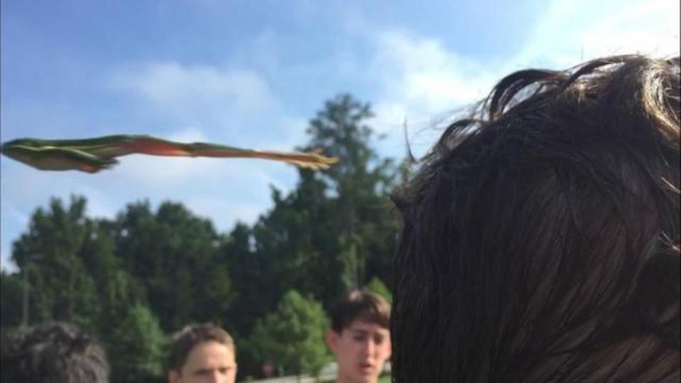  By far the best photo - a frog shooting across screen to and from god-knows where