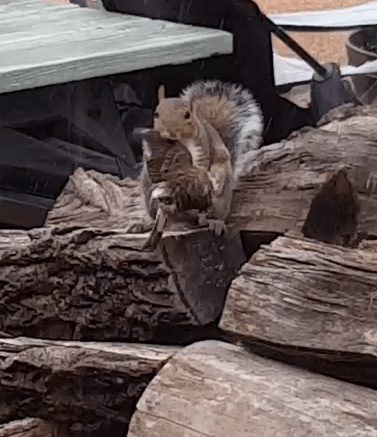  The footage has shocked people online