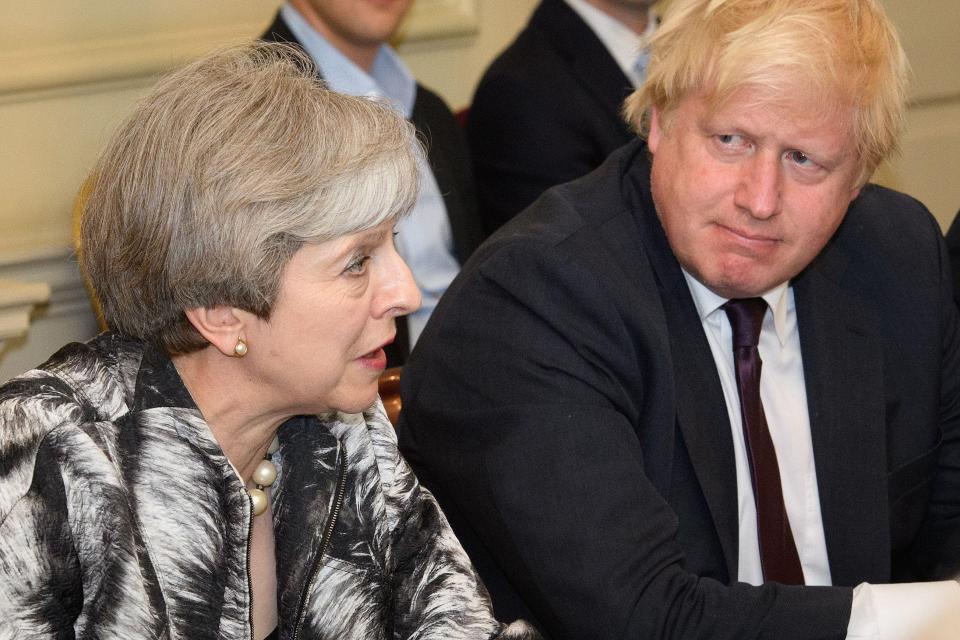  Johnson is one of May's fiercest critics