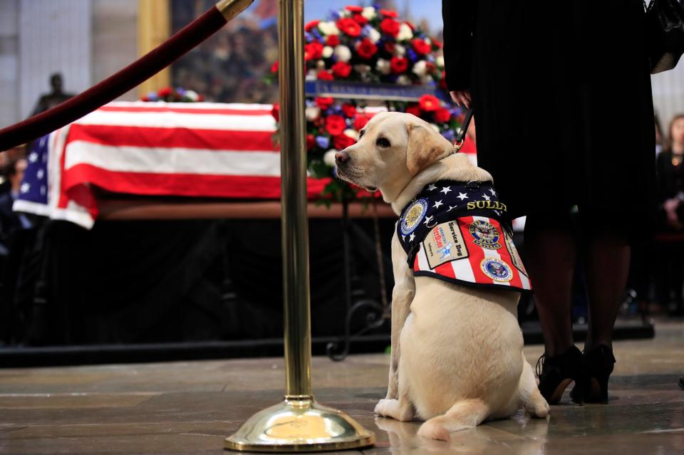  Sully, sat by his owner's coffin at the U.S Capitol in Washington yesterday