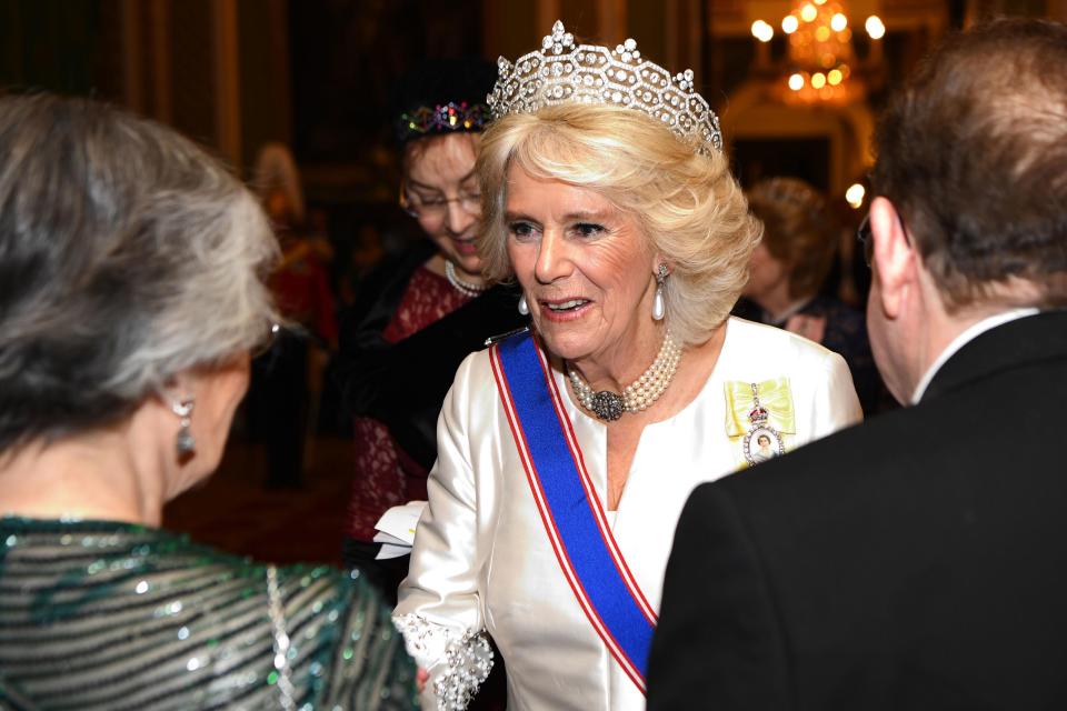 Camilla opted for a Bruce Oldfield dress and a Boucheron tiara, pearl choker and pearl earrings