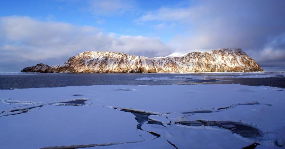  Jeanette Island is an icy landmass that covers an area of just 1.2 square miles