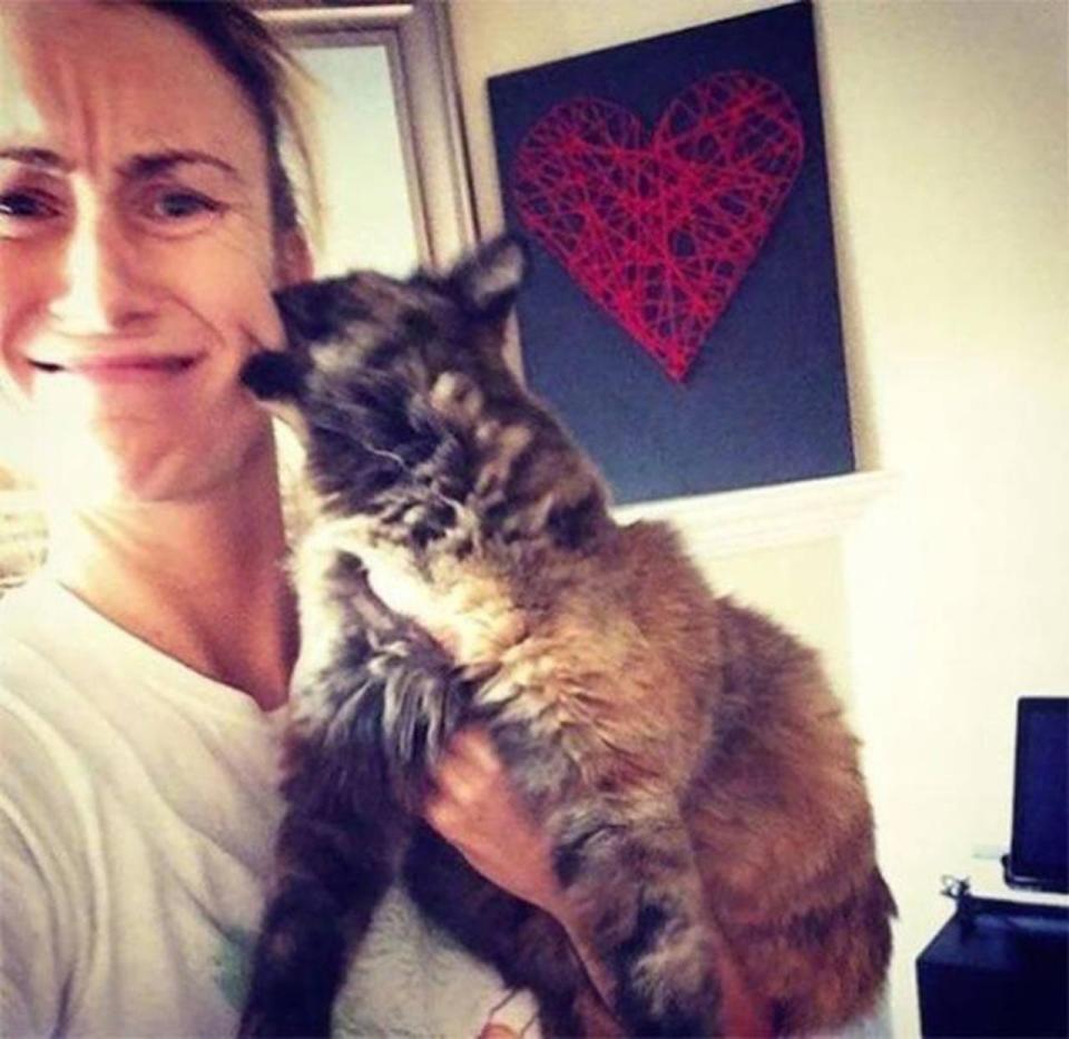  In an act of sheer manic relish, this cat has betrayed its domestic facade and attacked what can only be described as its owner