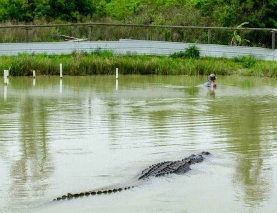  We imagine his wife felt awful after throwing his hat in the swamp