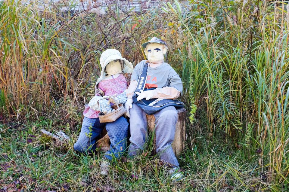  A couple of dolls sitting in long grass in the village