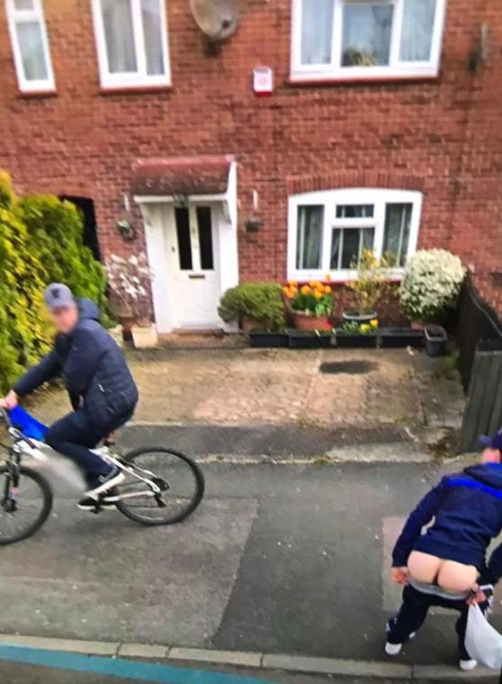  Toby was walking with a pal through Hillingdon, Greater London