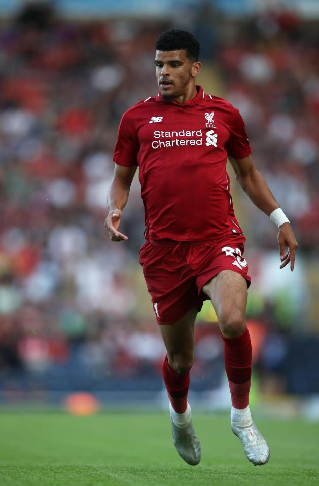 Dominic Solanke has signed a permanent deal for Bournemouth from Liverpool for £19million