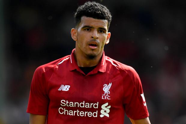 Dominic Solanke has seen his move to Crystal Palace break down