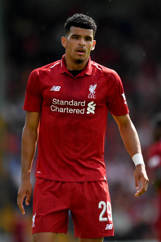 Dominic Solanke has seen his move to Crystal Palace break down