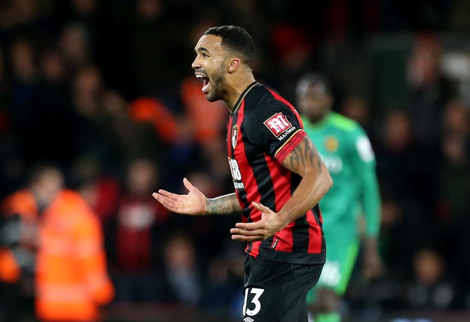  Cherries fans are worried the arrival of Dominic Solanke might indicate Callum Wilson is off to Chelsea
