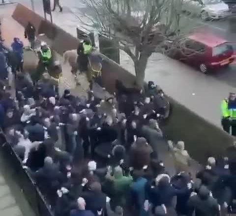  The brawl quickly escalated as other supporters joined in