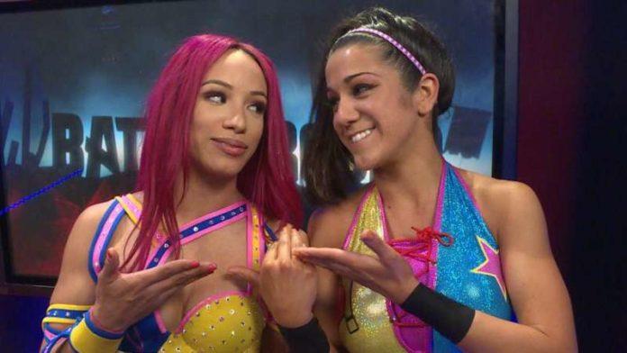 Best friends Sasha Banks and Bayley will no doubt be one of the favourites to be crowned the inaugural champions