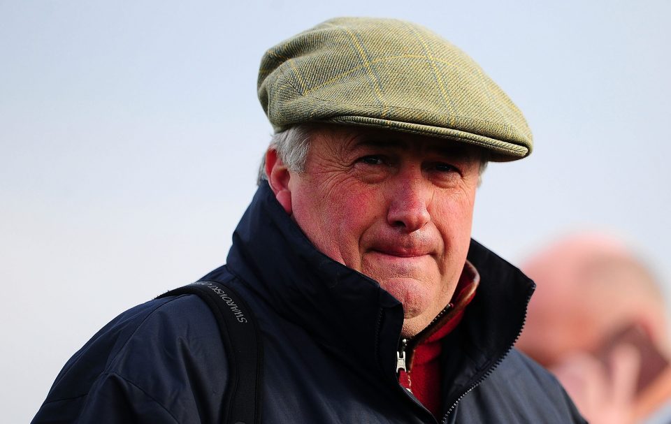Paul Nicholls saddled his 3,001st winner with Wonderful Charm